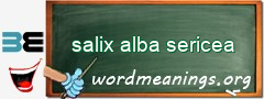 WordMeaning blackboard for salix alba sericea
